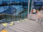 シンサイミライノハナPROJECT2011(東京都江東区・東京臨海広域防災公園 有明の丘基幹的広域防災拠点施設 そなエリア東京 2011年1月23日)