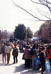 フリーフリーマーケット〜救援物資放出大会(神戸市長田区御蔵通・新湊川公園 1995年2月19日)